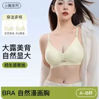 加厚外扩型无痕内衣女聚拢小胸显大胸显腰细漫画胸挂脖美背文胸罩