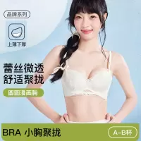 品牌同款夏季薄款蕾丝内衣女性感纯欲风小胸聚拢透气收副乳文胸罩