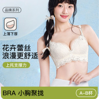 莫代尔浪漫花卉蕾丝内衣女夏小胸聚拢显大舒适无钢圈防下垂文胸罩