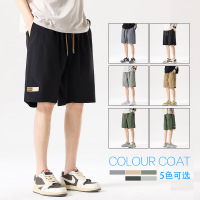 夏季新款薄款男短裤时尚宽松五分沙滩裤百搭运动网红同款男生卫裤