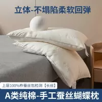 五星级酒店专用蚕丝枕枕头枕芯纯棉护颈椎助睡眠单人枕芯家用一对