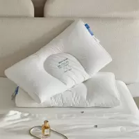 五星酒店枕头超薄低枕不塌陷护颈椎全棉可水洗中枕高枕芯