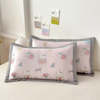 可水洗冰丝儿童枕套夏季凉席枕头套成人夏天枕芯套家用加枕席一对