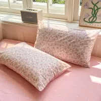 小清新纯棉枕套一对家用单人枕头套48x74南通家纺全棉枕芯套