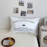 纯棉单品枕套数码印花单件枕头罩全棉枕芯内胆套罩ins风混搭卧室