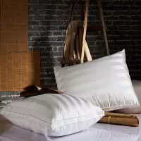 蚕丝羽绒枕白鹅绒芯面包枕头正品记忆护颈单双人枕厂家