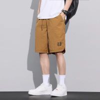 新款宽松夏季冰丝冰丝速工装薄款短裤休闲直筒五分裤子