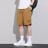 新款宽松夏季冰丝冰丝速工装薄款短裤休闲直筒五分裤子