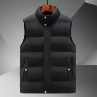 男装棉马甲男士秋冬新款立领保暖背心潮牌运动坎肩马夹男外套