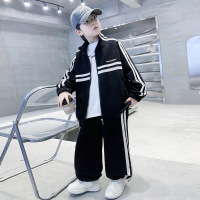 男童秋装套装酷帅新款中大童春秋款洋气潮儿童秋季卫衣运动服