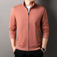 100棉大众男士T恤春季新款纯色长袖翻领休闲开衫T恤男