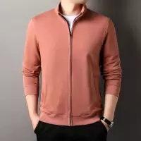 100棉大众男士T恤春季新款纯色长袖翻领休闲开衫T恤男