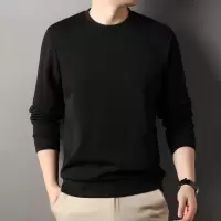 320克桑蚕丝纯色男士T恤春季新款大众圆领长袖打底衫男