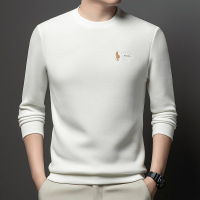 加厚刺绣圆领卫衣男秋季新款日常休闲时尚长袖男士T恤