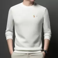 加厚刺绣圆领卫衣男秋季新款日常休闲时尚长袖男士T恤