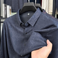衬衫男长袖新款春秋内搭休闲免烫中年男士衬衣爸爸