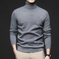 秋季新款男士毛衣针织衫高领纯色时尚普通厚上衣针织衫