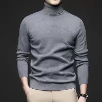 秋季新款男士毛衣针织衫高领纯色时尚普通厚上衣针织衫