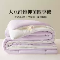 A类大豆纤维被子被芯学生宿舍春秋被保暖冬被单双人四季棉被