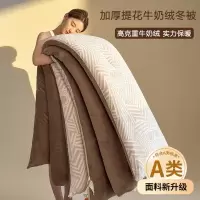 A类提花牛奶绒被子冬被加厚保暖被芯单双人春秋被珊瑚绒棉被褥子