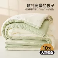 大豆纤维子母被二合一拉链款被子学生宿舍单人春秋冬被加厚棉被芯