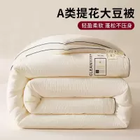 大豆纤维被子单双人加厚保暖被芯学生宿舍春秋被加厚冬被四季通用