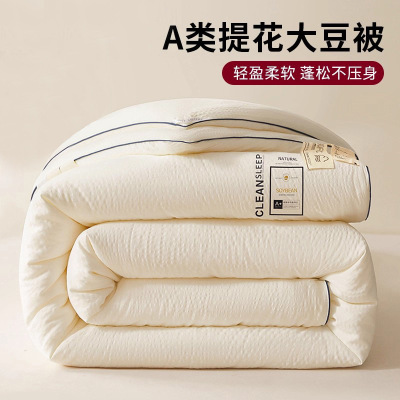 大豆纤维被子单双人加厚保暖被芯学生宿舍春秋被加厚冬被四季通用