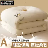 大豆纤维被子春秋被芯夏凉被空调被可机洗棉被单双人夏被四季通用