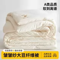 提花皱皱纱大豆被加厚保暖春秋被芯棉被宿舍单人被褥四季通用