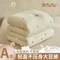 皱皱纱卡通刺绣大豆纤维被冬季加厚冬被双人被子春秋被芯四季通用