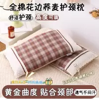 小清新花边荞麦壳枕头枕芯护颈椎助睡眠成人午睡家用单人一只整头