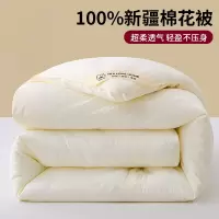 新疆棉花被子被芯春秋被学生宿舍四季通用单人冬季加厚保暖四季被