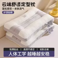 枕头护颈椎助睡眠成人家用枕芯单人一只装学生宿舍睡觉男高枕