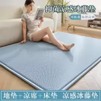 凉感冰丝凉席地铺地垫床垫儿童爬爬垫加厚床褥垫露营床褥垫榻榻米