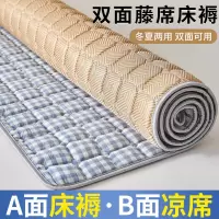 夏季冰丝凉席床垫遮盖物双面冬夏两用卧室软垫子租房