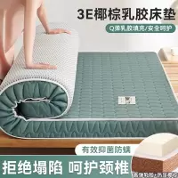 椰棕床垫软垫家用加厚乳胶床褥垫学生宿舍单人租房榻榻米垫子