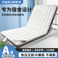 乳胶椰棕学生宿舍床垫遮盖物单人家用卧室可折叠软垫租房垫子