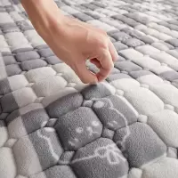 加厚牛奶绒床垫夹棉床护垫防静电加绒垫子法莱绒学生宿舍床褥软垫