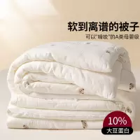 A类双层纱大豆纤维被厚冬被单人春秋被褥儿童棉被被子被芯夏凉被