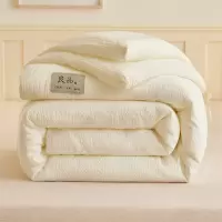 A类大豆纤维被子冬被加厚棉被芯新款春秋被单人学生冬季四季通用