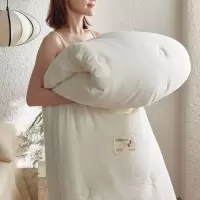 A类母婴级全棉蚕丝蛋白被纯棉春秋被冬被拉链款二合一加厚子母被