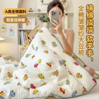 A类皱皱纱秋季被子大豆纤维秋冬被纯棉纱布母婴可用被子被芯
