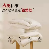 A类软糯糯30%大豆纤维春秋被子家用加厚保暖冬被单双人四季棉被芯