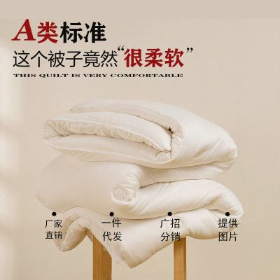 A类软糯糯30%大豆纤维春秋被子家用加厚保暖冬被单双人四季棉被芯