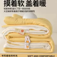 A类软糯被春秋被夏季被薄被子保暖加厚冬季大豆纤维被芯冬被