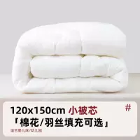 儿童宝宝幼儿园小被子被芯入园专用床品春秋被夏凉空调被加厚冬被