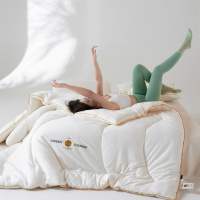全棉A类母婴55李官奇大豆纤维被 贴身透气春秋被加厚保暖冬被子