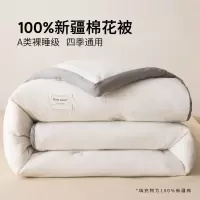 冬被新疆纯棉花被子被芯秋冬天棉被棉絮冬季加厚保暖单人春秋被褥