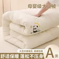 夏季大豆纤维被子被芯冬被加厚保暖棉春秋学生宿舍空调被四季通用