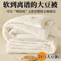 大豆纤维被a类被子四季通用空调被春秋被被芯纯棉加厚冬被子